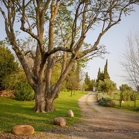 San Gabriel Homestead Сомерсет-Уэст Экстерьер фото